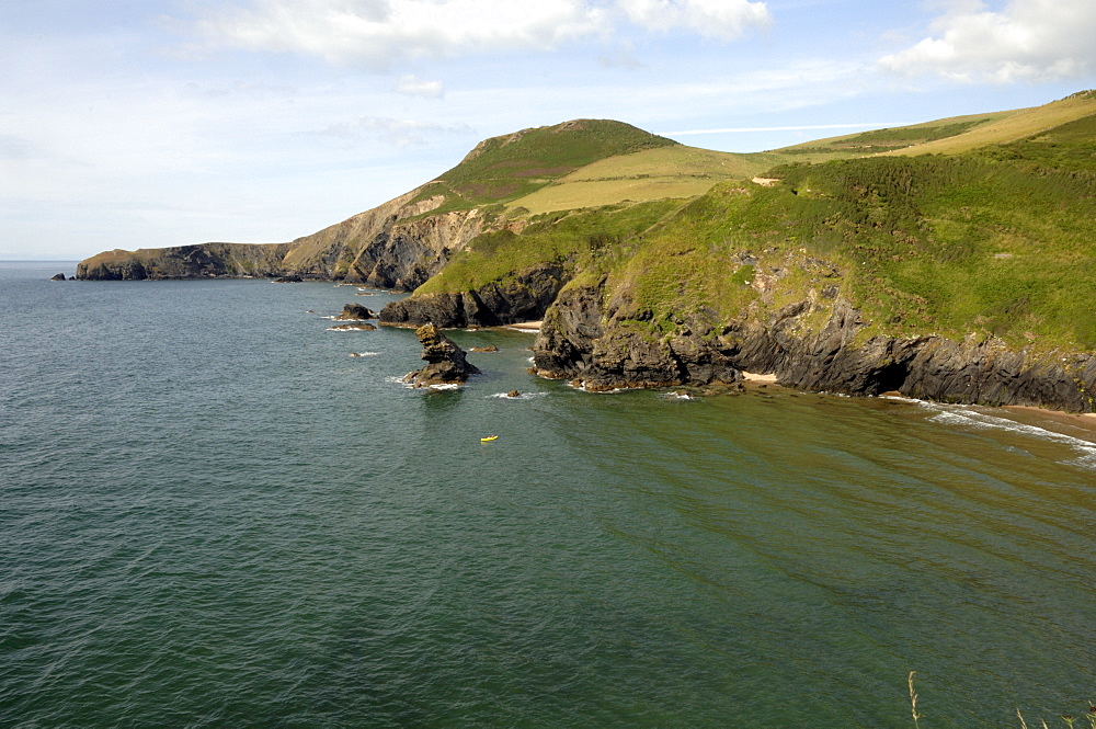 Ynys Lochtyn, Llangranog, Wales, UK, Europe