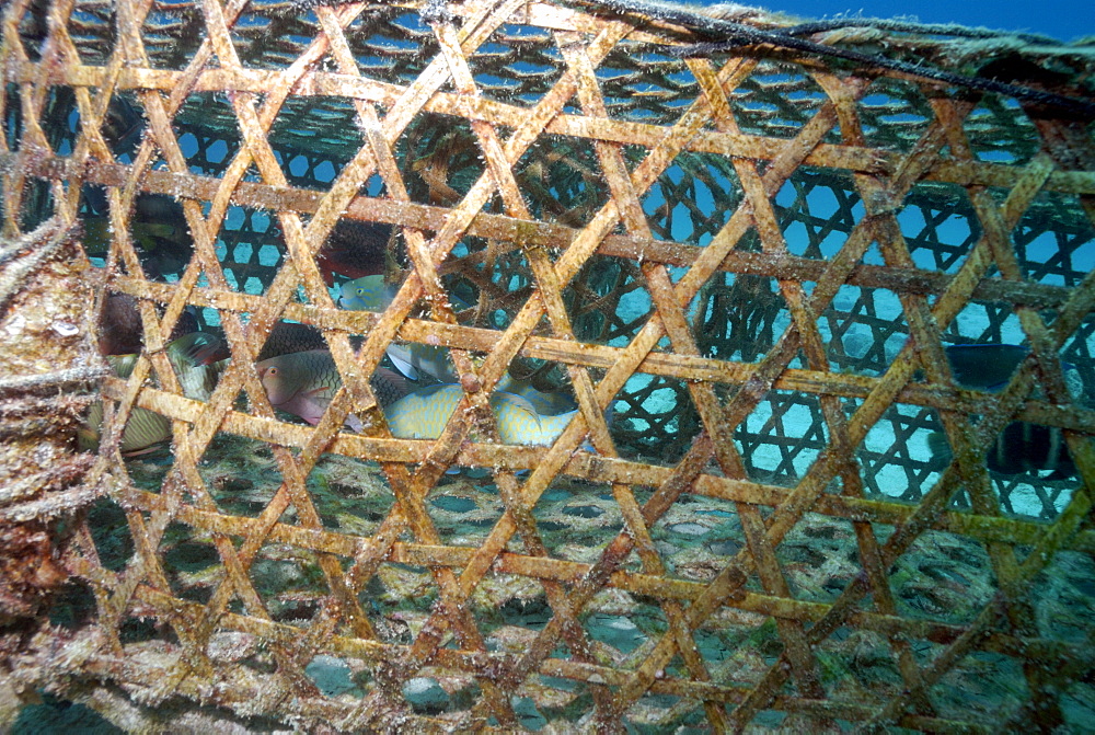 Fish trap, Mahe, Seychelles, Indian Ocean