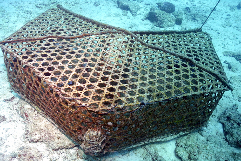 Fish trap, Mahe, Seychelles, Indian Ocean