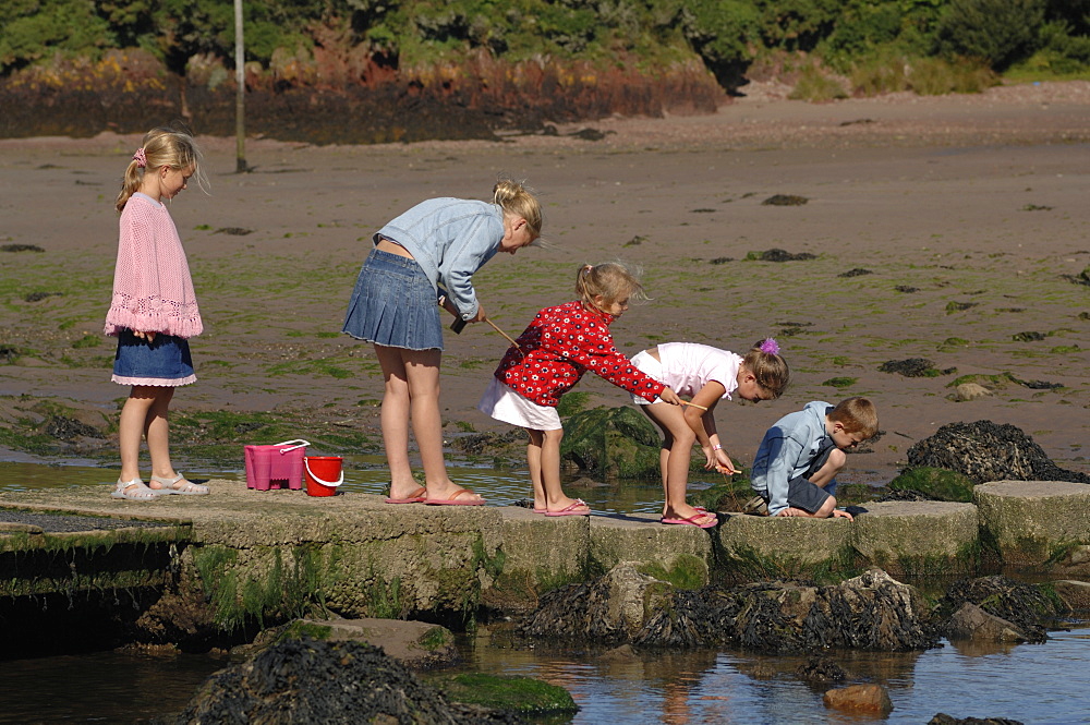 Crab fishing, Sandy Haven, Milford Haven, Pembrokeshire, Wales, UK