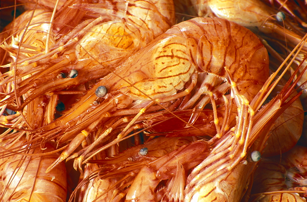 Cooked prawns