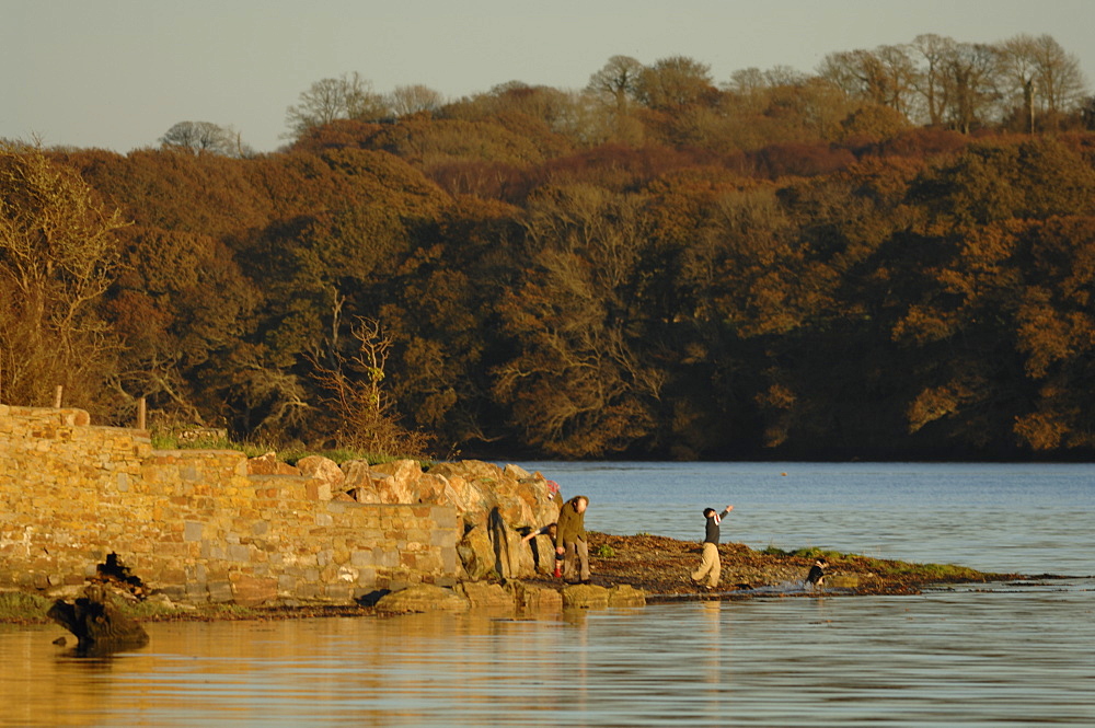 People at Picton Point, evening light, autumn colours, Cleddau, Pembrokeshire, Wales, UK, Europe