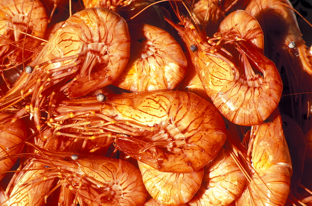 Cooked prawns