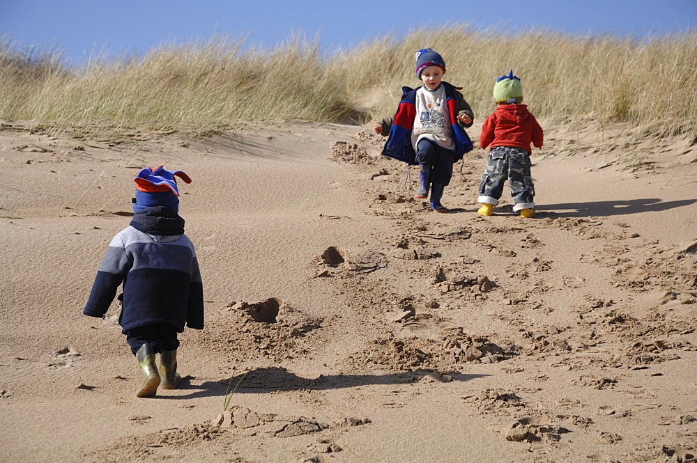 Three young boys playing in dunes, Broad Haven South, Stackpole, Pembrokeshire, Wales, UK, Europe