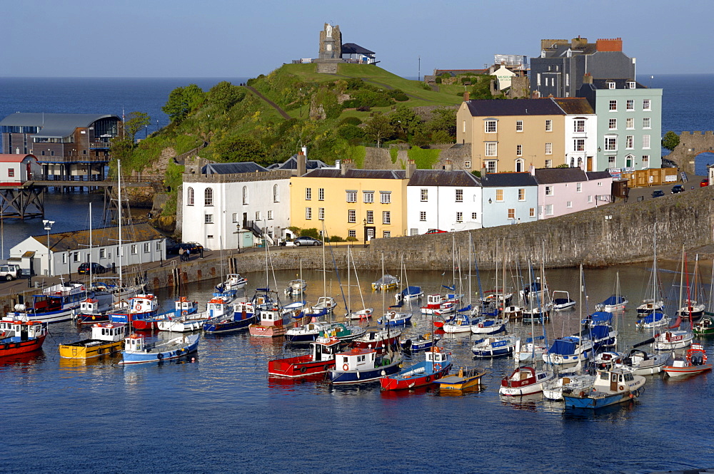 Boats, houses and harbour, evening, Tenby Harbour, Pembrokeshire, Wales, UK, Europe