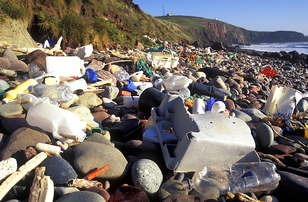 Strandline plastic litter, Freshwater West, Pembrokeshire Coast National Park