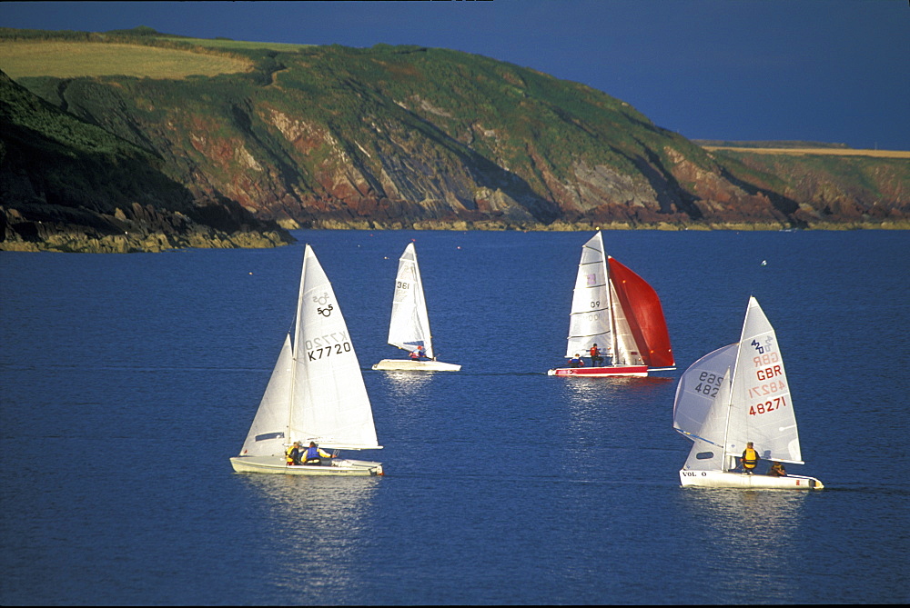 Dinghy race, Dale, West Wales, UK