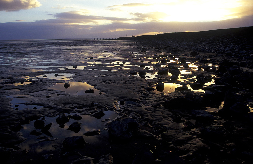 Sea wall, Gold Cliff, Severn Estuary, Wales, UK