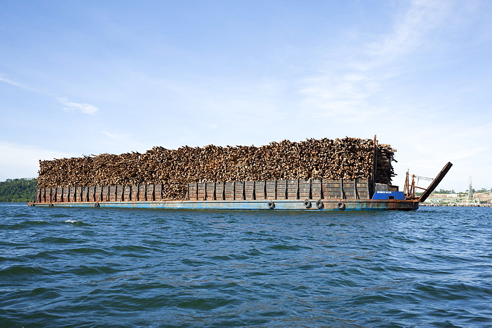 Cargo of acacia wood, an introduced species, Balikpapan Bay, East Kalimantan, Borneo, Indonesia, Southeast Asia, Asia