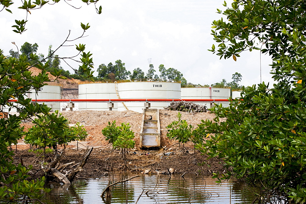 Factory for processing palm oil in mangroves, Balikpapan Bay, East Kalimantan,  Borneo, Indonesia, Southeast Asia, Asia