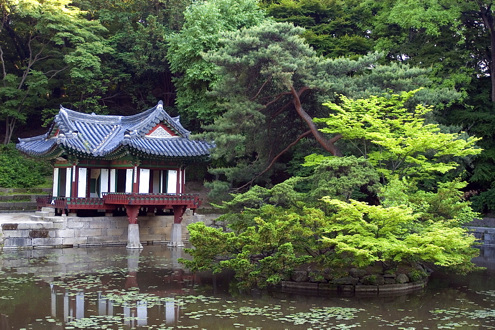 Secret garden with pagoda at Changdeokgung Palace, Seoul, South Korea, Asia