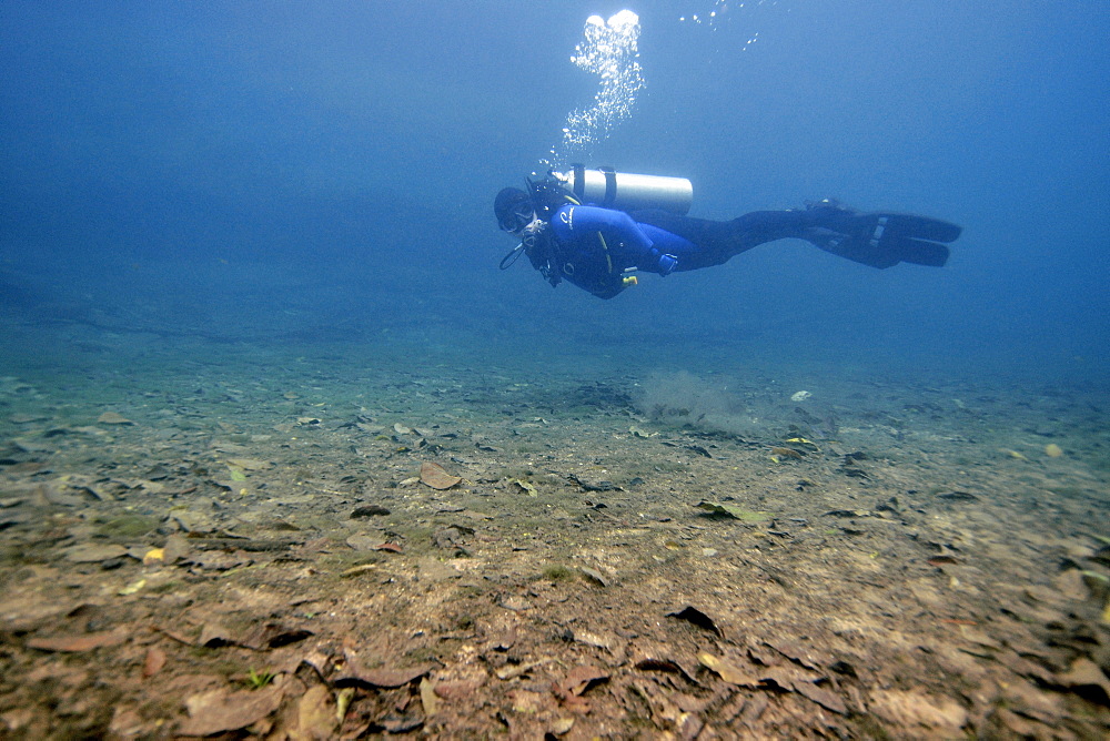 Scuba diver in Prata River, Bonito, Mato Grosso do Sul, Brazil, South America