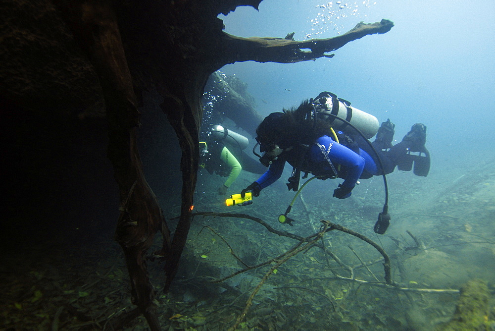 Scuba divers underwater, Prata River, Bonito, Mato Grosso do Sul, Brazil, South America