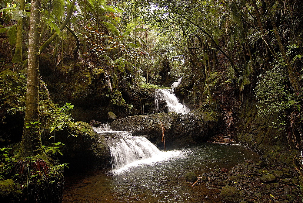 Waterfall at Botanical Garden, Hilo, Hawaii, United States of America, Pacific