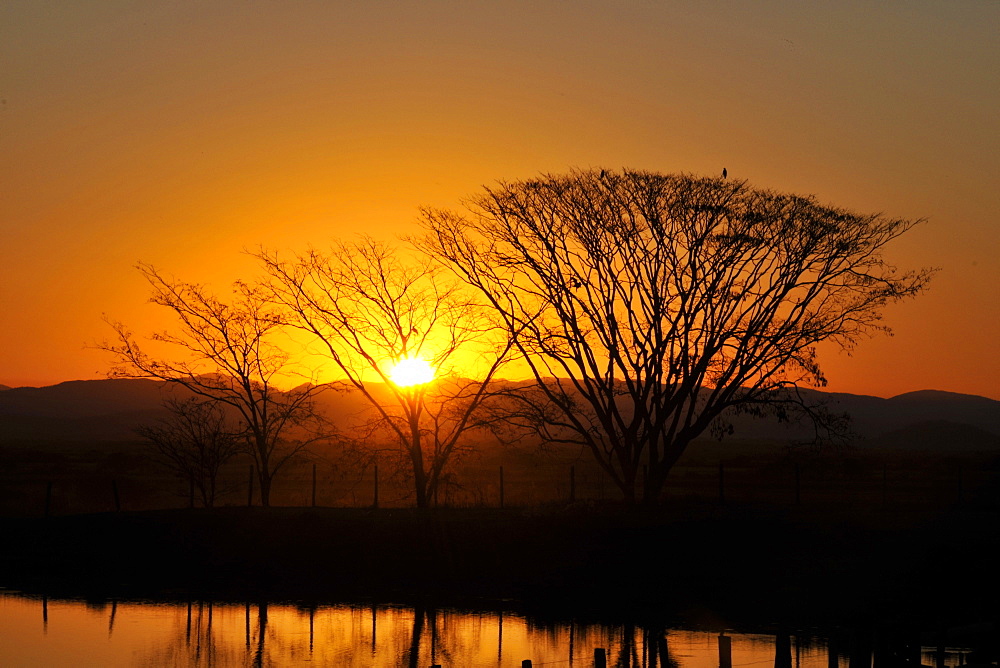 Sunset at Pantanal, Mato Grosso do Sul, Brazil, South America