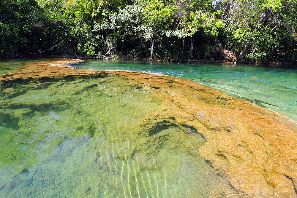 Balneario Municipal, Formoso River, Bonito, Mato Grosso do Sul, Brazil, South America