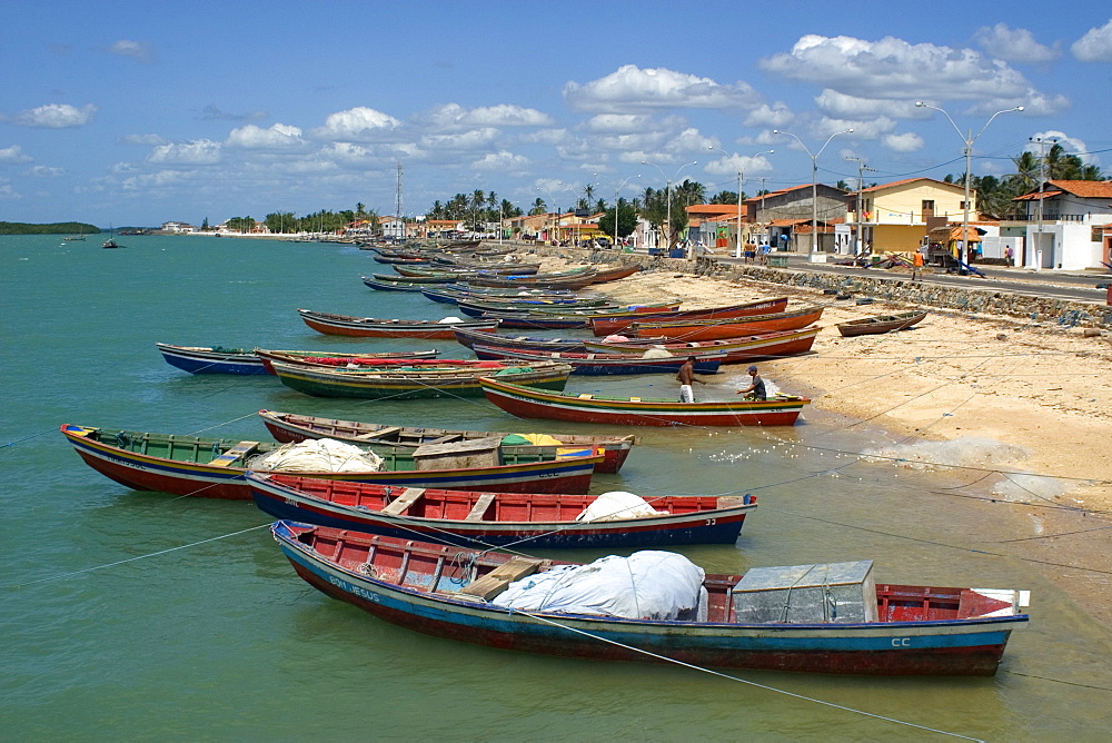 Landscape at Cureau River edge, Camocim, Ceara, Brazil, South America