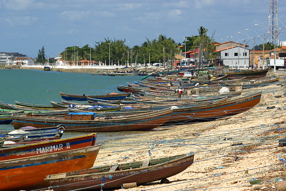 Landscape at Cureau River edge, Camocim, Ceara, Brazil, South America