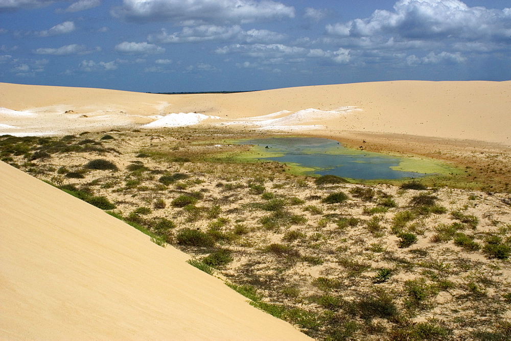 Lake and sand dunes at Ilha Grande de Santa Isabel, Parnaiba River delta, Piaui, Brazil, South America