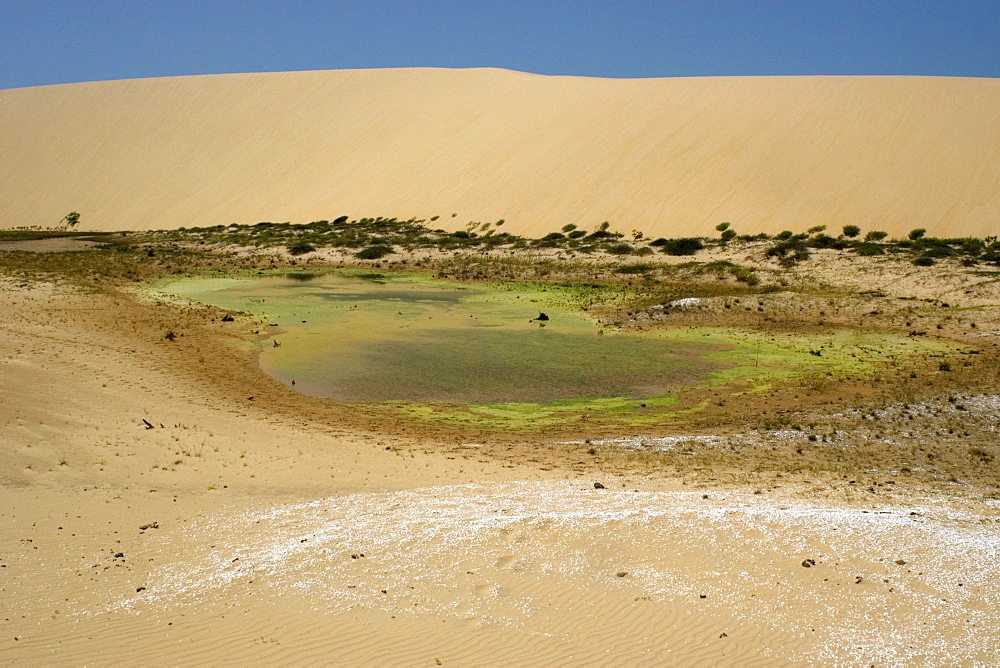 Lake and sand dunes at Ilha Grande de Santa Isabel, Parnaiba River delta, Piaui, Brazil, South America