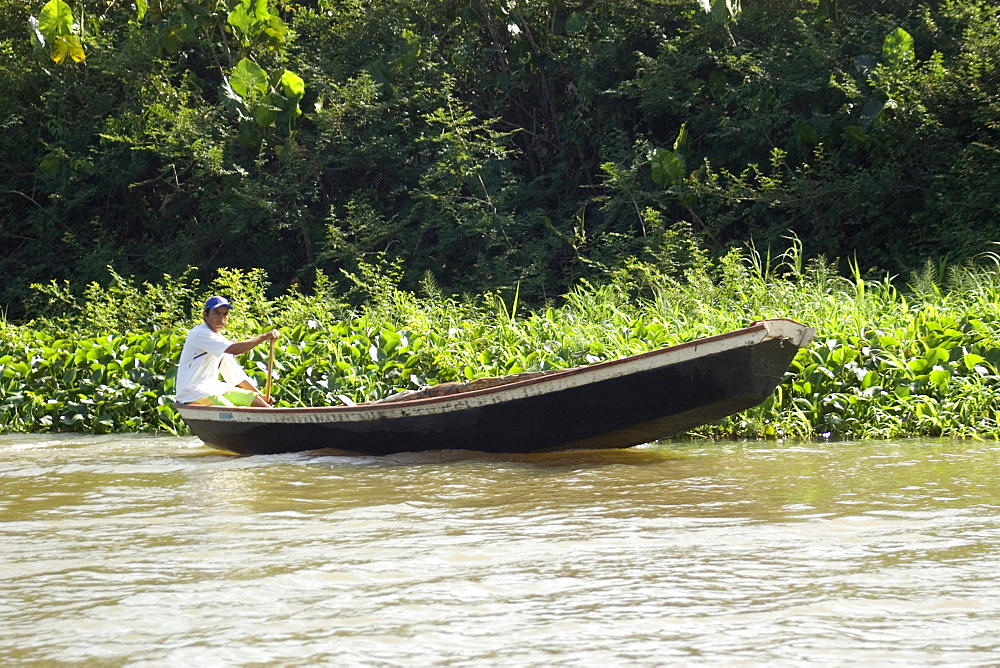 Fisherman at Parnaiba river, Parnaiba, Piaui, Brazil, South America