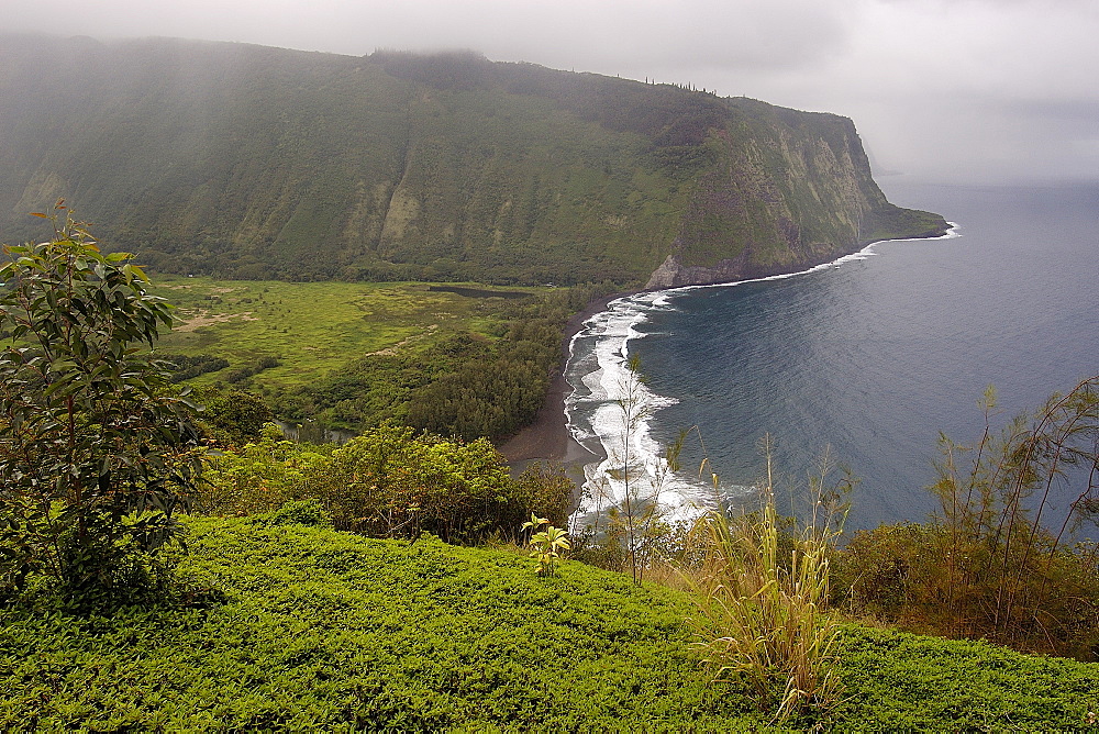 Waipio valley, Big Island, Hawaii, United States of America, Pacific