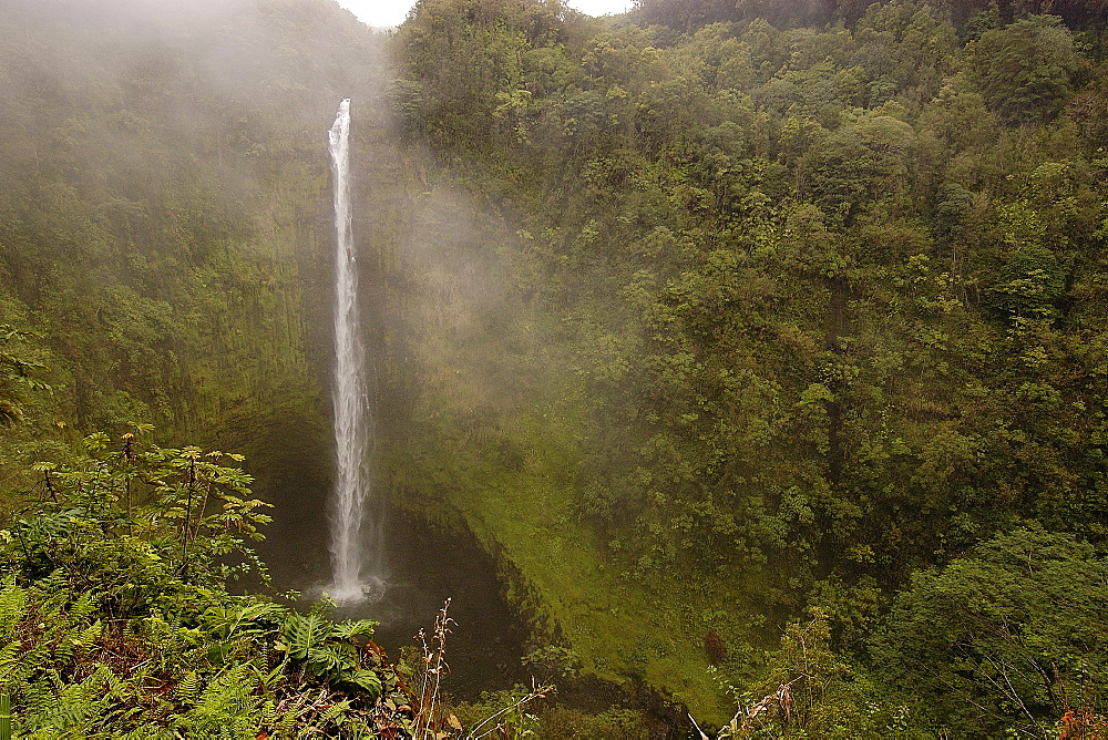 Akaka Falls, Big Island, Hawaii, United States of America, Pacific