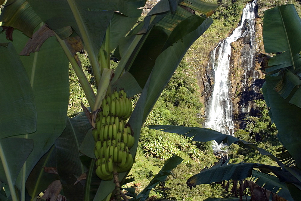 Waterfall near Visconde do Rio Branco, Minas Gerais, Brazil, South America