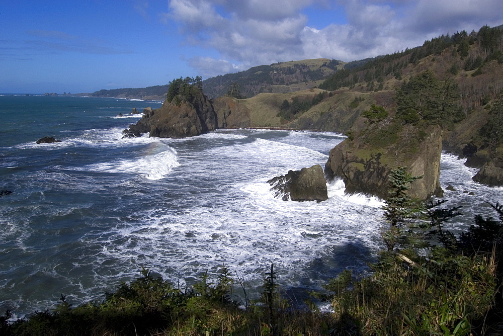 Rugged Oregon Coast, United States of America, North America