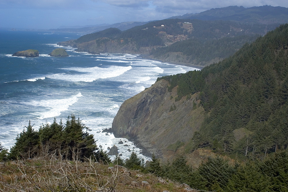 Rugged Oregon Coast, United States of America, North America