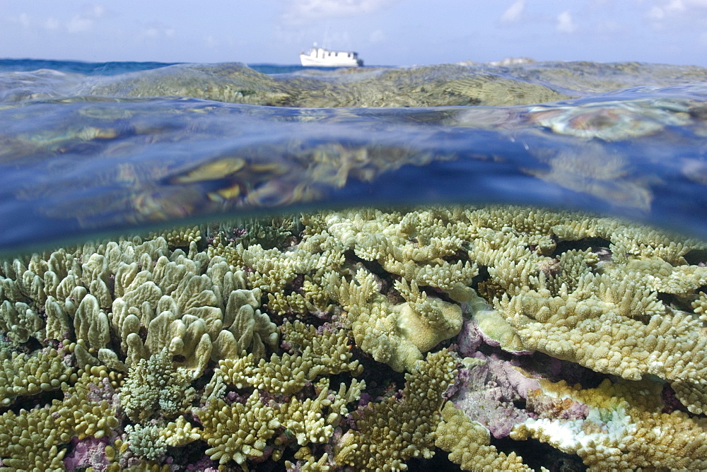 Split image of pristine coral reef and support ship, Rongelap, Marshall Islands, Micronesia, Pacific