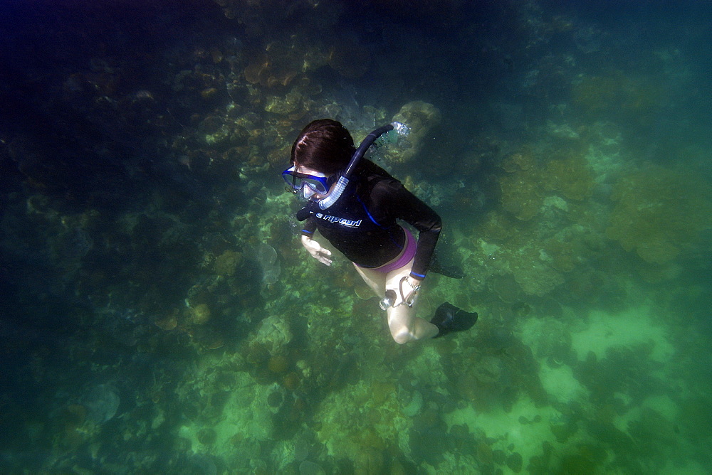 Snorkeller returning to surface, Rock Islands, Palau, Caroline Islands, Micronesia, Pacific Ocean, Pacific