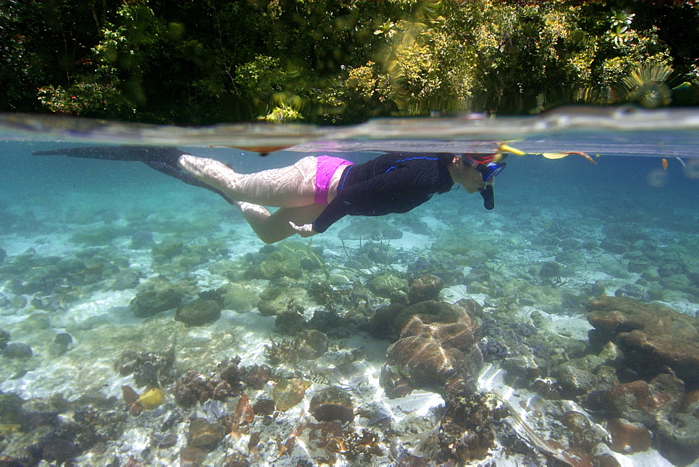 Snorkeller, Rock Islands, Palau, Caroline Islands, Micronesia, Pacific Ocean, Pacific