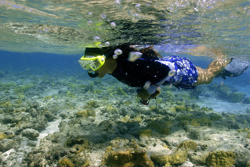 Free diver swims through reef shallows, Ailuk atoll, Marshall Islands, Pacific