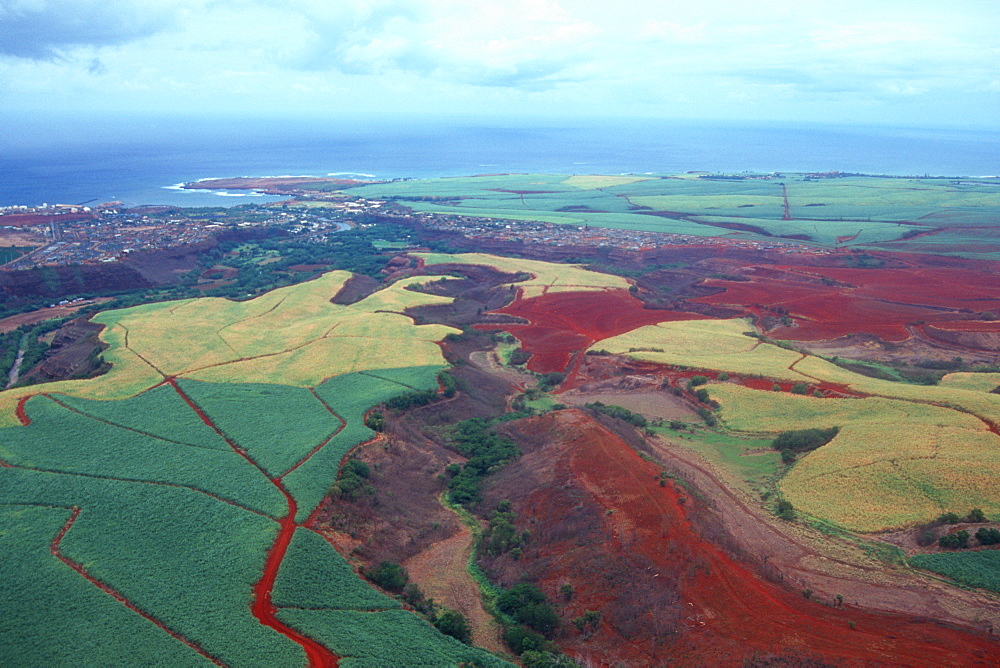 Aerial of sugar cane fields, Kauai, Hawaii, United States of America, Pacific