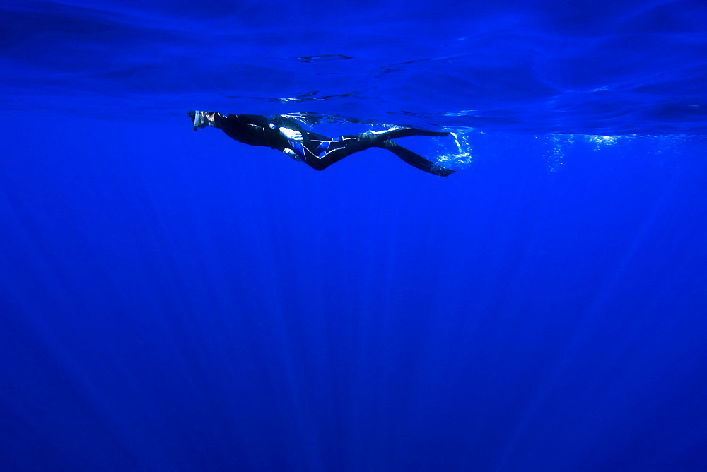 Free diver, St. Peter and St. Paul's rocks, Brazil, South America