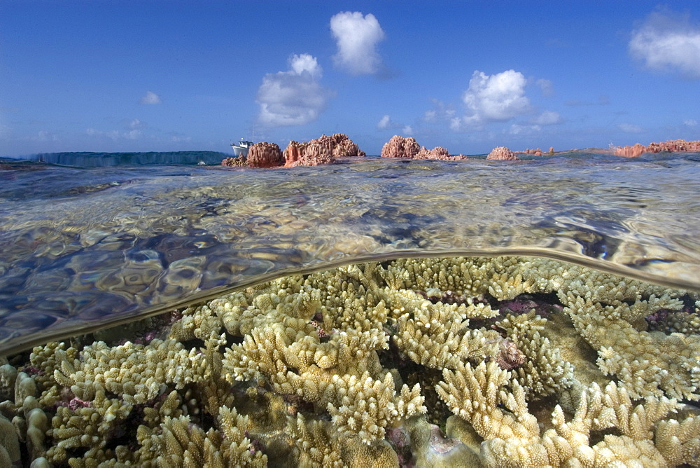 Split image of pristine coral reef and sky, Rongelap, Marshall Islands, Micronesia, Pacific