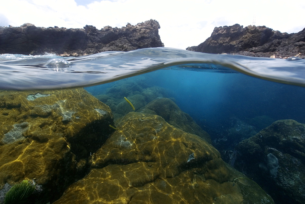 Split image of rocks and white encrusting zoanthid (Palythoa caribaeorum), St. Peter and St. Paul's rocks, Brazil, South America