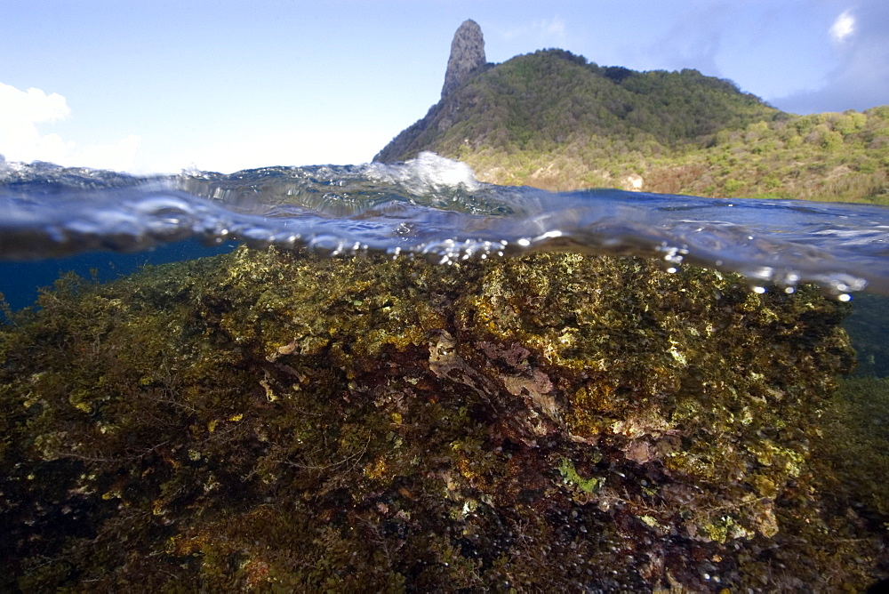 Morro do pico and  reef, split level, Fernando de Noronha, Pernambuco,  Brazil