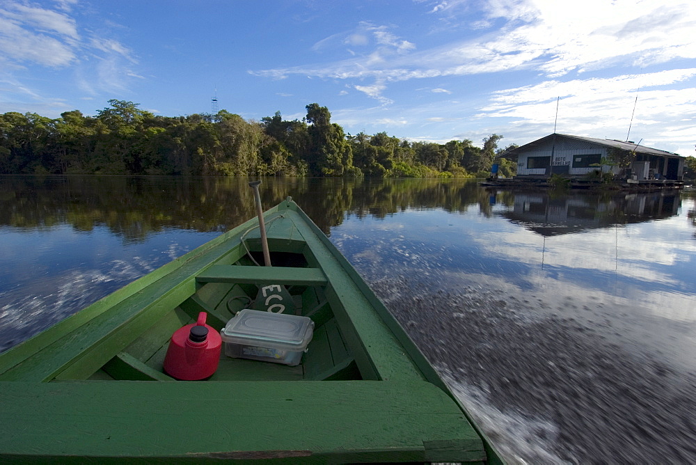 Boat bow and flooded tropical rain forest, Mamiraua sustainable development reserve, Amazonas, Brazil, South America