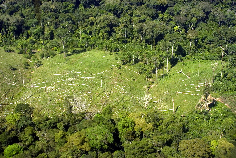 Aerial view of patch of destroyed rain forest, Amazonas, Brazil, South America