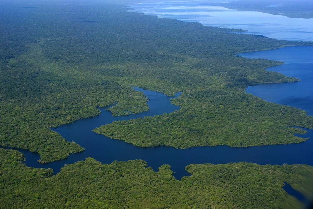 Aerial view of flooded tropical rain forest, Amazonas, Brazil, South America