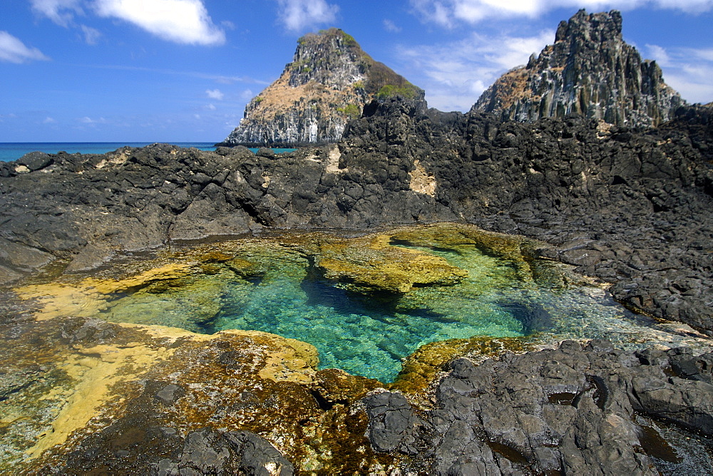 Coral and tide pool with Dois Irmaos in the background, Fernando de Noronha national marine sanctuary, UNESCO World Heritage Site, Pernambuco, Brazil, South America