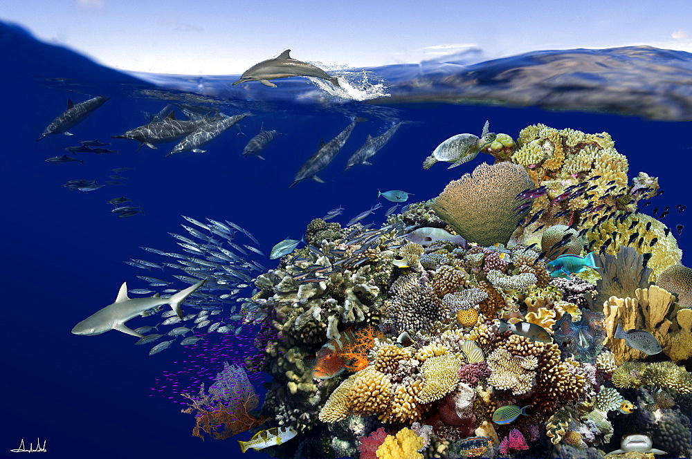 Digital composite of tropical coral reef environment