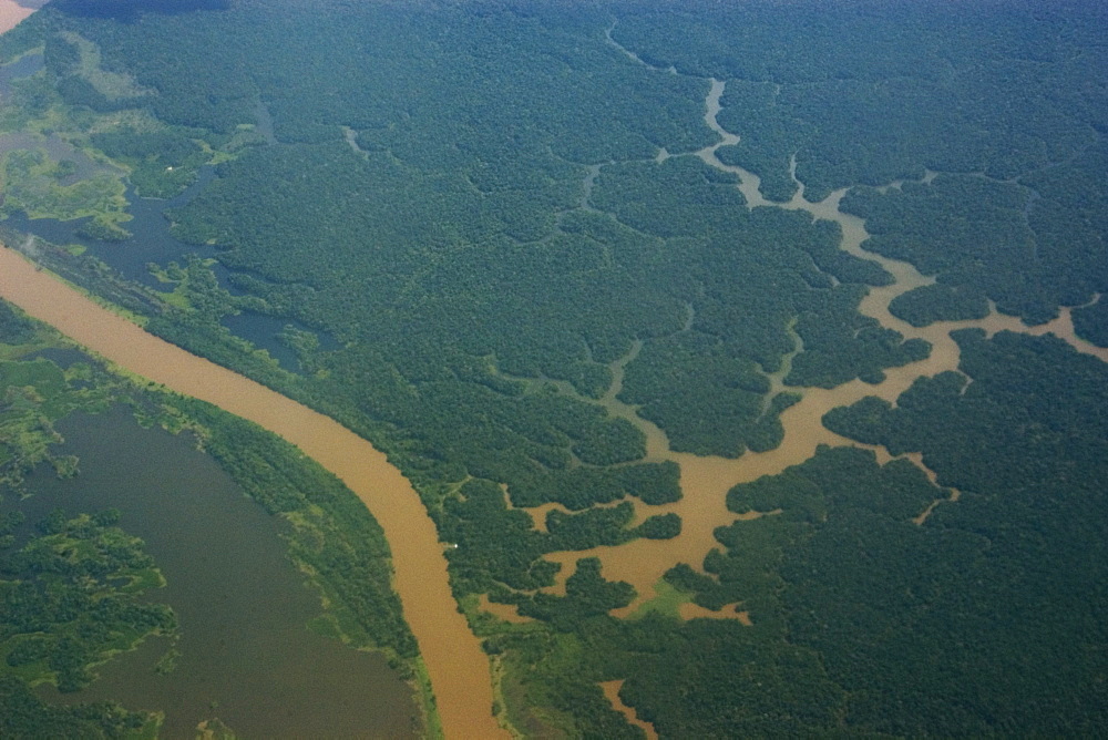 Aerial view of flooded tropical rain forest, Amazonas, Brazil, South America