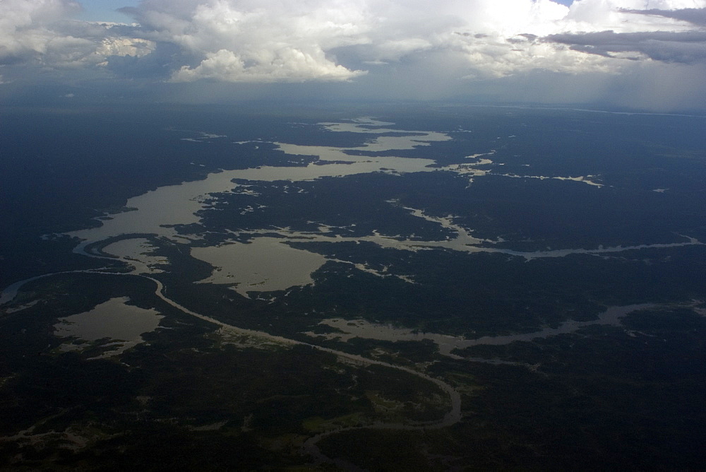 Aerial view of flooded tropical rain forest, Amazonas, Brazil, South America