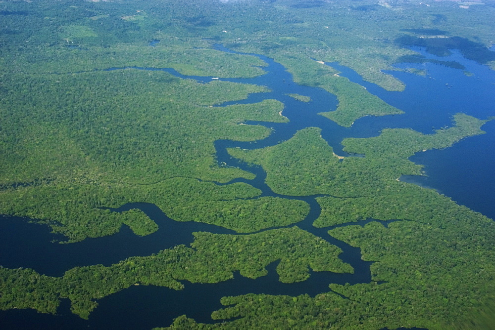 Aerial view of flooded tropical rain forest, Amazonas, Brazil, South America