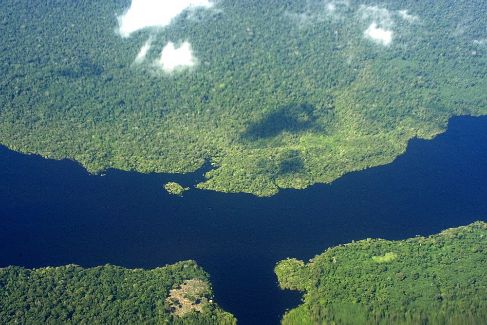 Aerial view of flooded tropical rain forest, Amazonas, Brazil, South America