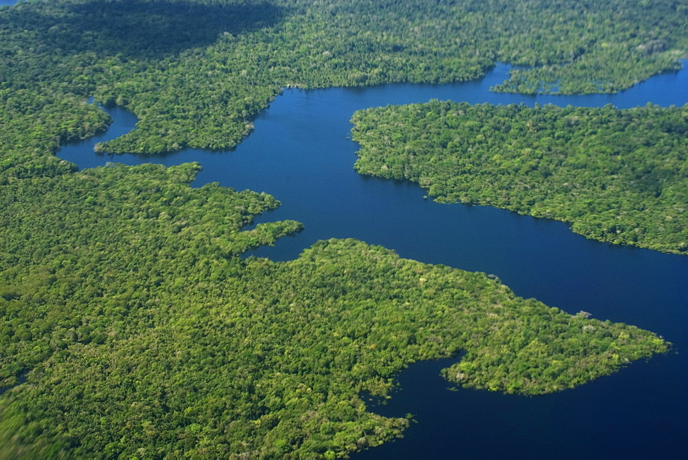 Aerial view of flooded tropical rain forest, Amazonas, Brazil, South America