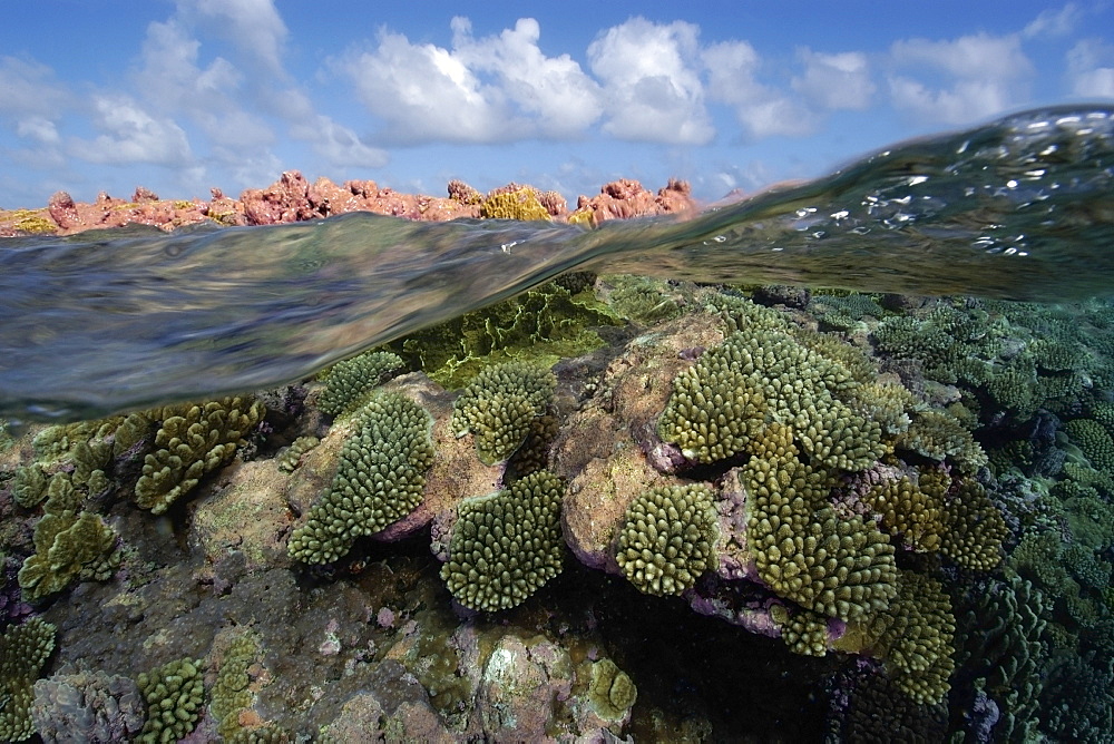 Split image of pristine coral reef and sky, Rongelap, Marshall Islands, Micronesia, Pacific